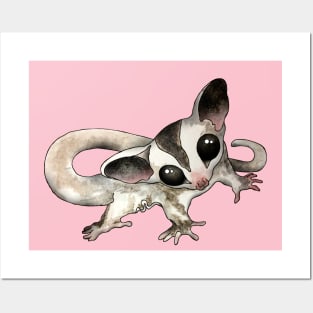 Cutest Sugar Glider Posters and Art